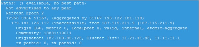 route-server view